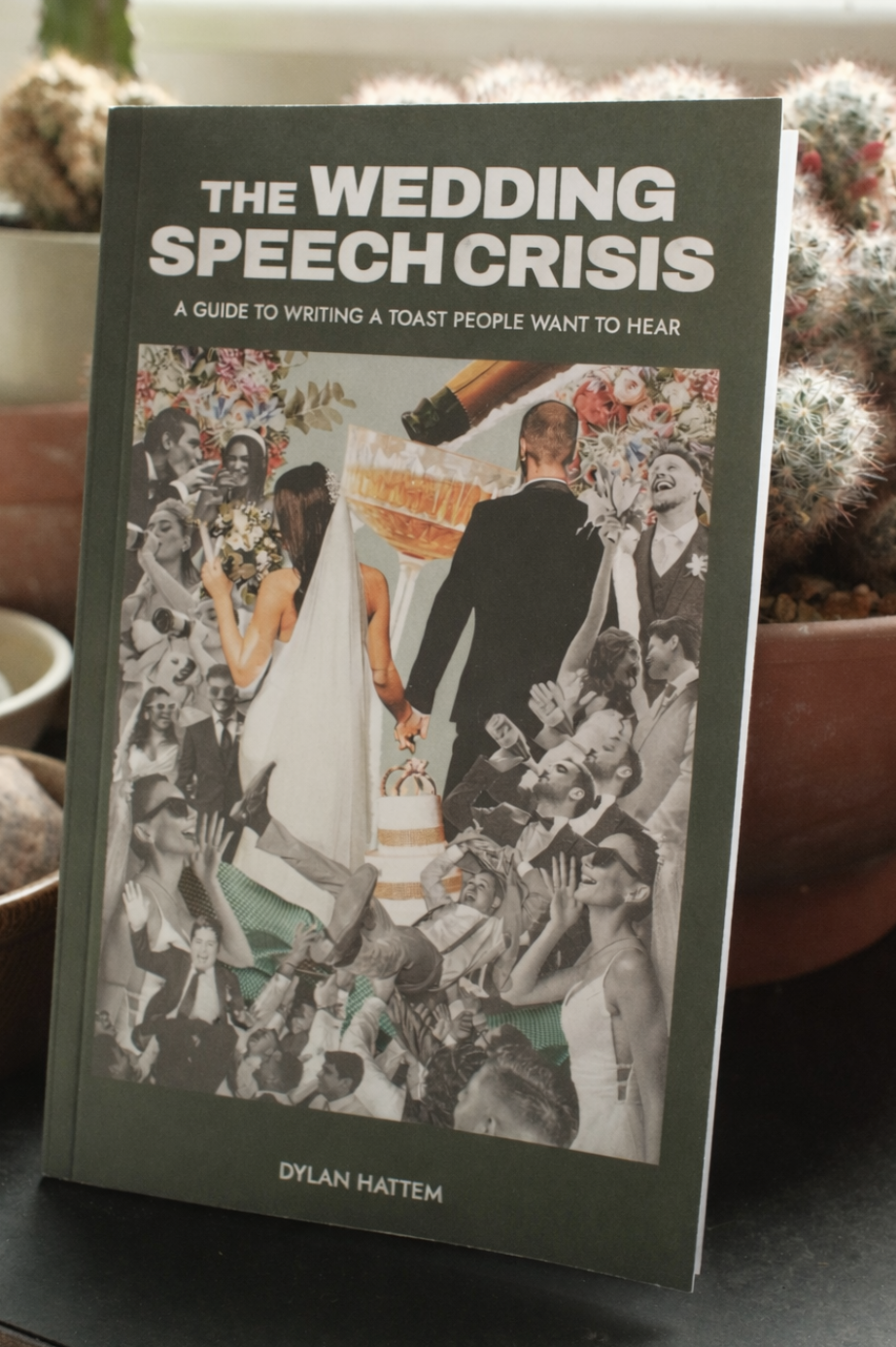 The Wedding Speech Crisis book resting beside a potted plant